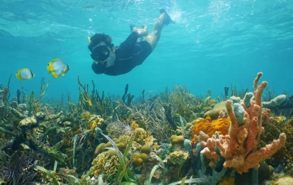 snorkeling costa rica