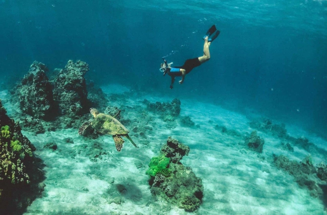 costa rica snorkeling tours