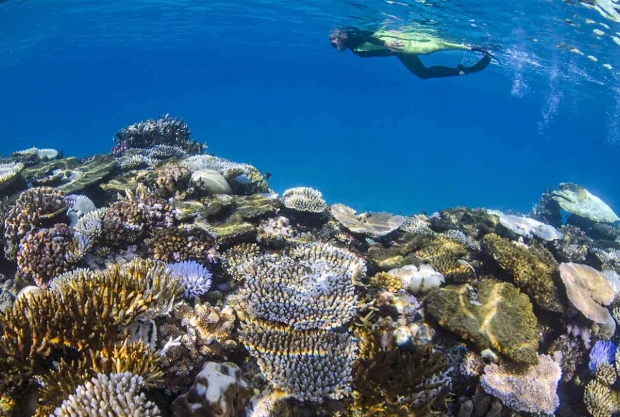 Fiji coral reefs Fiji coral reefs