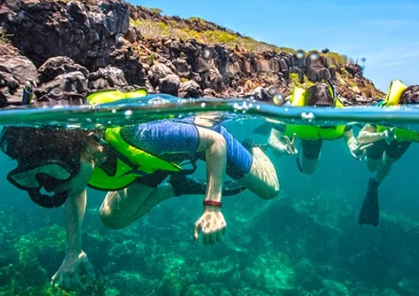 Galapagos snorkeling tours