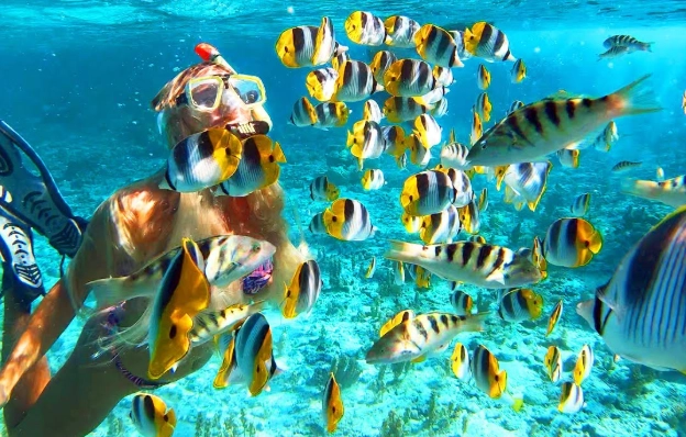 Bora Bora snorkeling spots