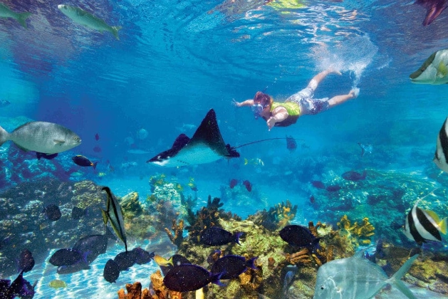 best snorkeling costa rica