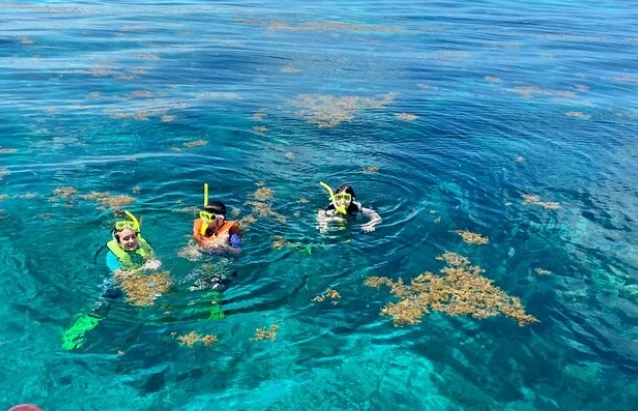 snorkeling tours Key Largo