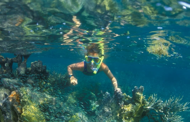 best snorkeling spots Florida Keys