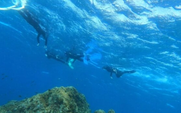 snorkeling in marine protected areas