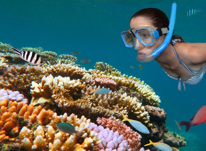 best marine parks for snorkeling
