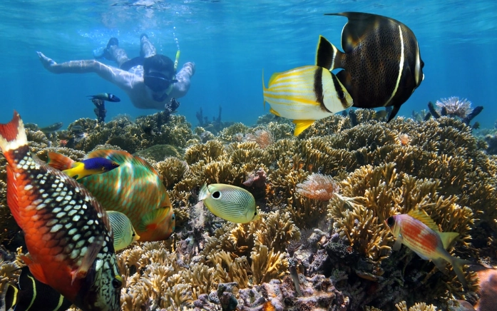 snorkeling costa rica