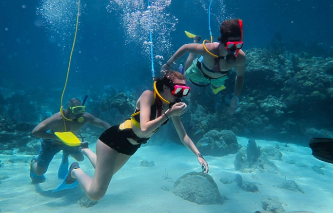 Florida Keys snorkeling