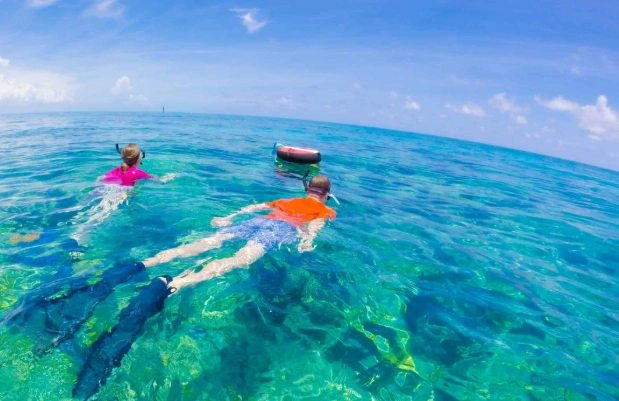 Florida Keys snorkeling