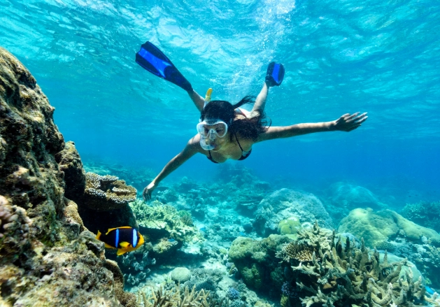 best snorkeling spots Fiji best snorkeling spots Fiji