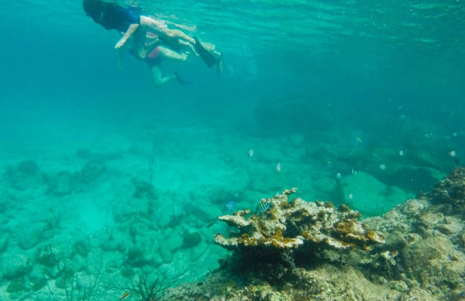 best snorkeling in national parks