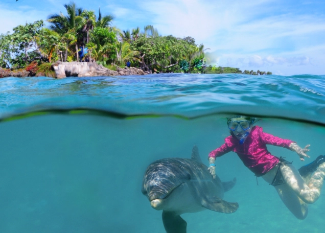 best places to snorkel with dolphins