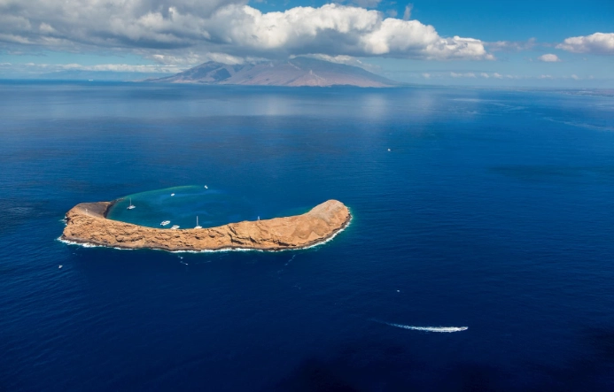 beginner snorkeling spots