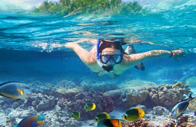 beginner snorkeling spots