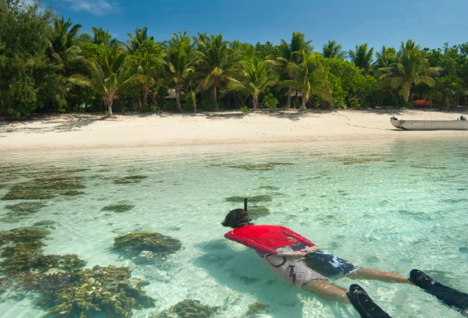 how to snorkel in clear water