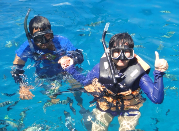 marine life identification snorkeling