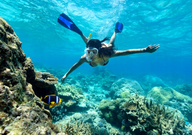 best warm water snorkeling spots