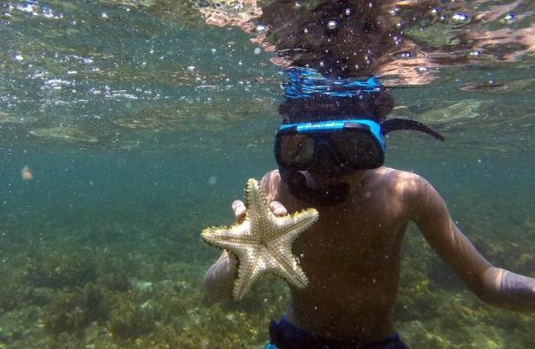 snorkeling gear for parks