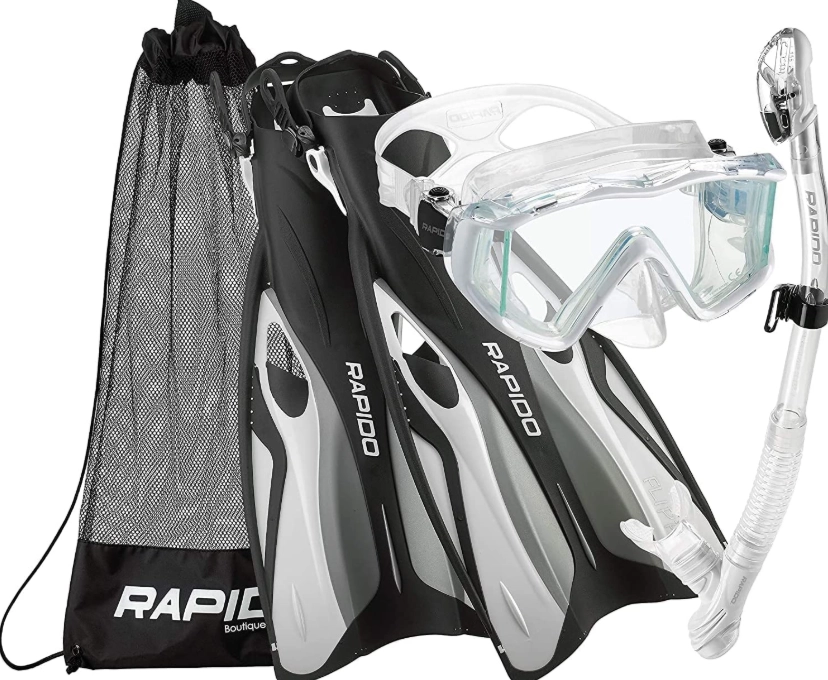 snorkeling for wildlife observation