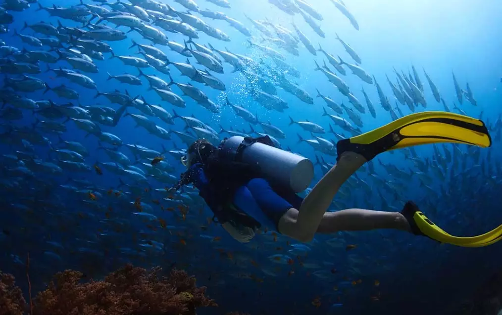 how to choose snorkeling fins