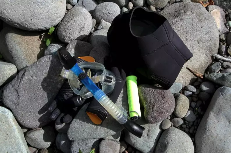 snorkeling mask and fins