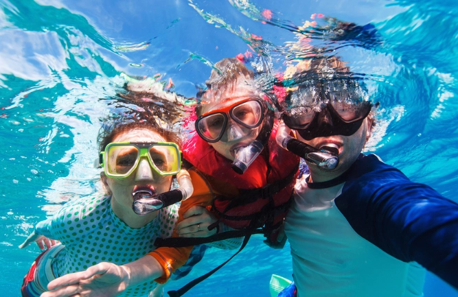 snorkeling for beginners