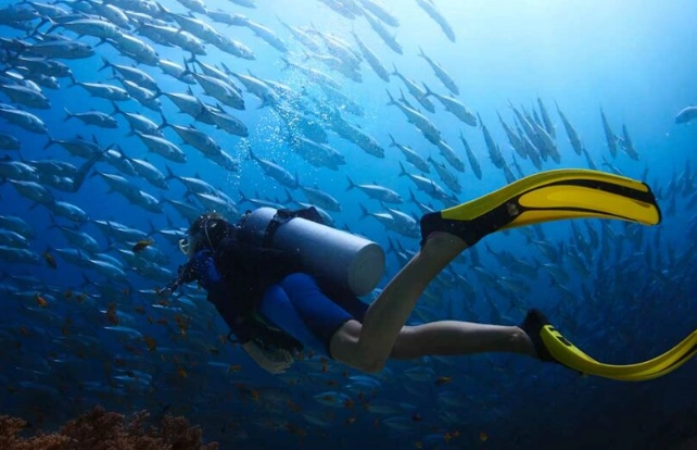 best snorkeling fins