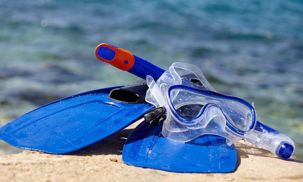 marine life snorkeling gear