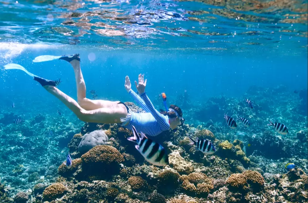 underwater photography gear