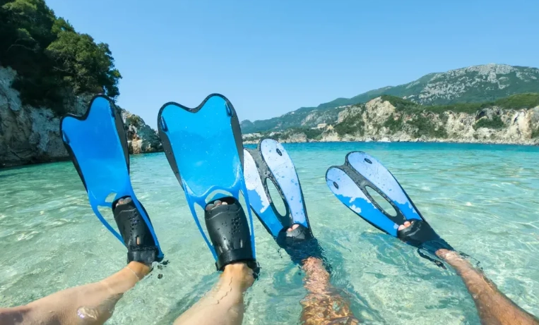 best snorkeling fins