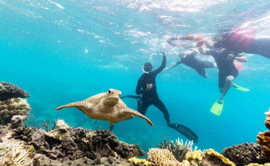 best snorkel mask for tours