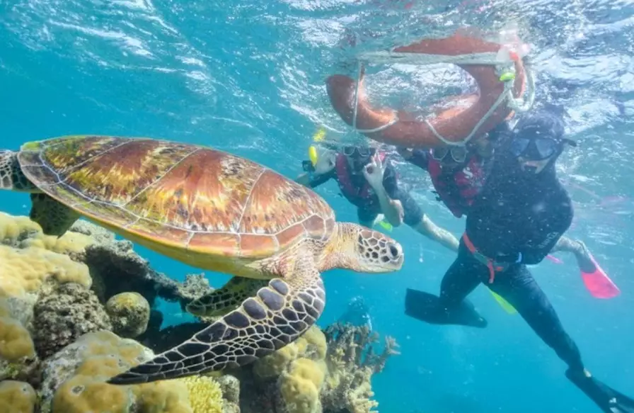 snorkeling gear for beginners