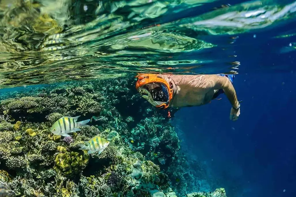 snorkeling mask materials