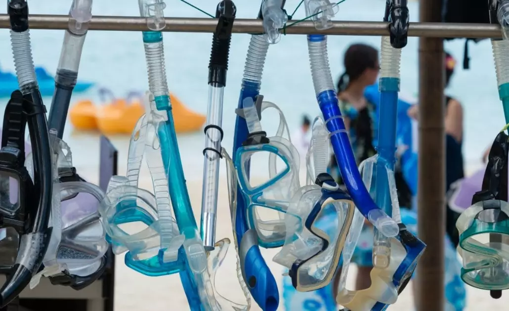 marine life snorkeling gear