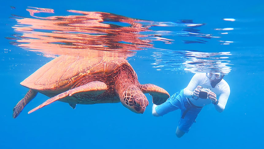 best snorkeling gear