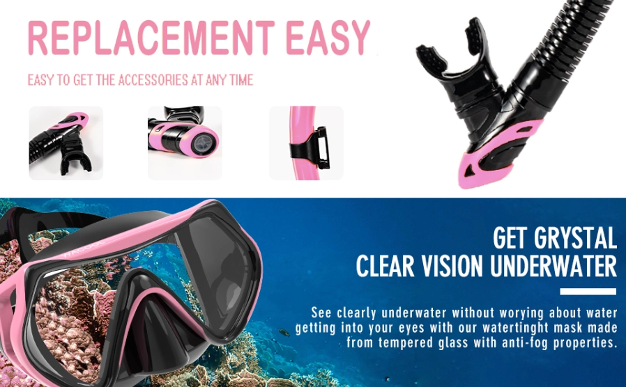 dry snorkel with purge valve