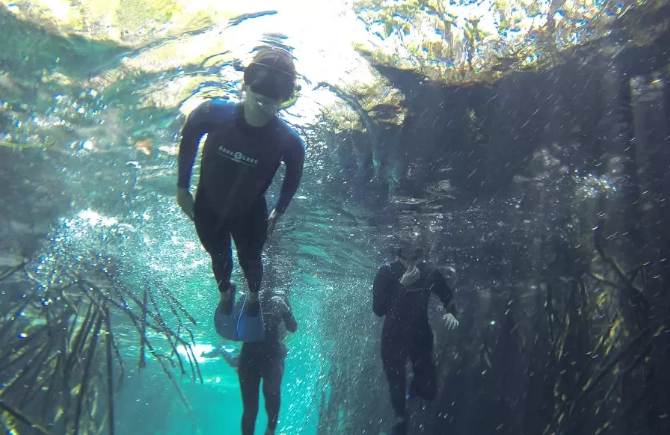 cenote snorkeling cenote snorkeling