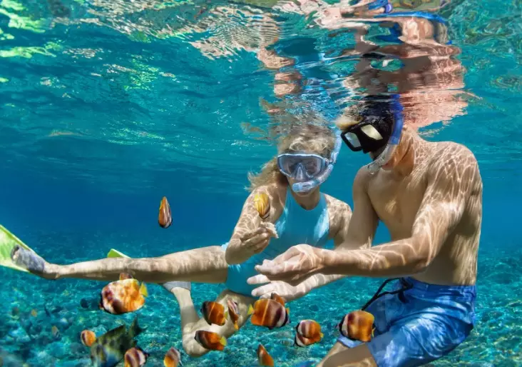 snorkeling in cold water