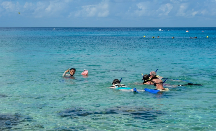 rocky shore snorkeling gear