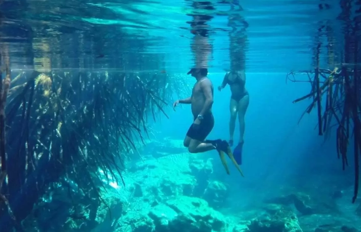 cenote snorkeling cenote snorkeling