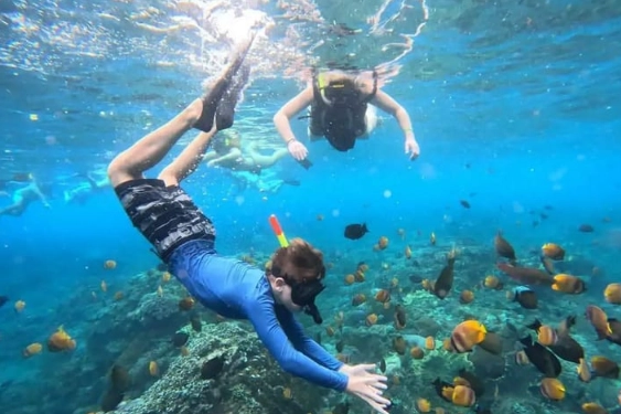 snorkeling in lagoon