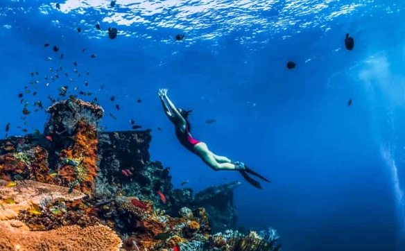 snorkeling sunken ships