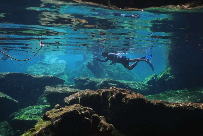 cenote snorkeling tours cenote snorkeling tours