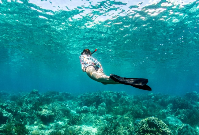eco-friendly snorkeling tips eco-friendly snorkeling tips