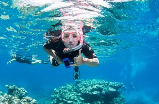 how to protect coral reefs