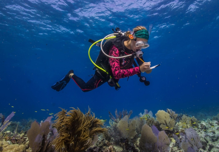 responsible snorkeling
