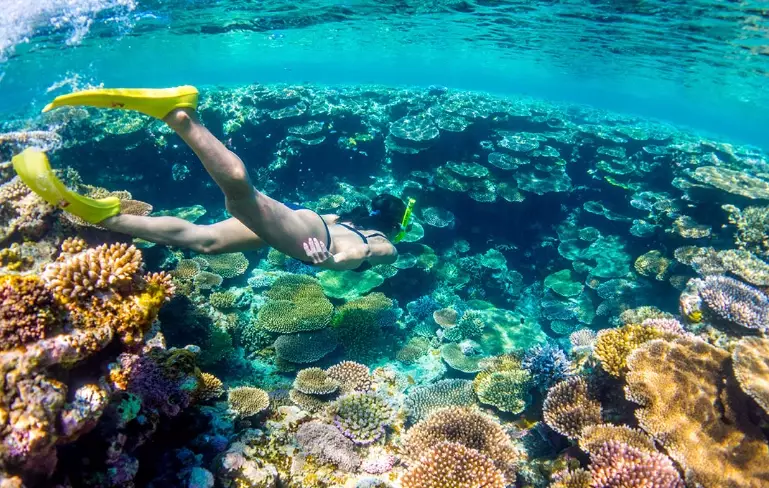 snorkeling safety tips