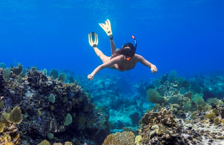best coral reefs to snorkel