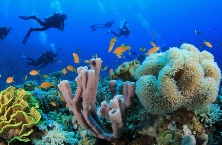 snorkeling safety tips