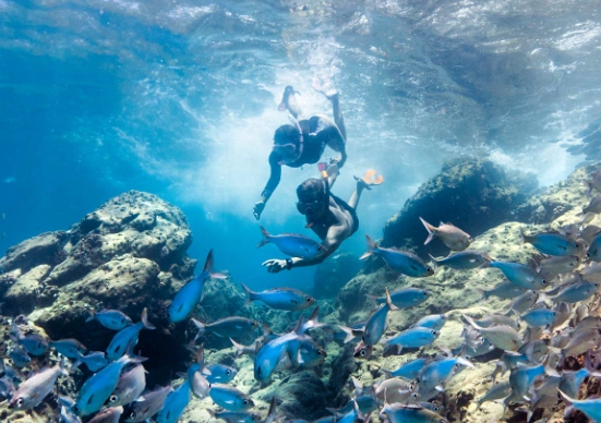 eco-friendly snorkeling tips eco-friendly snorkeling tips